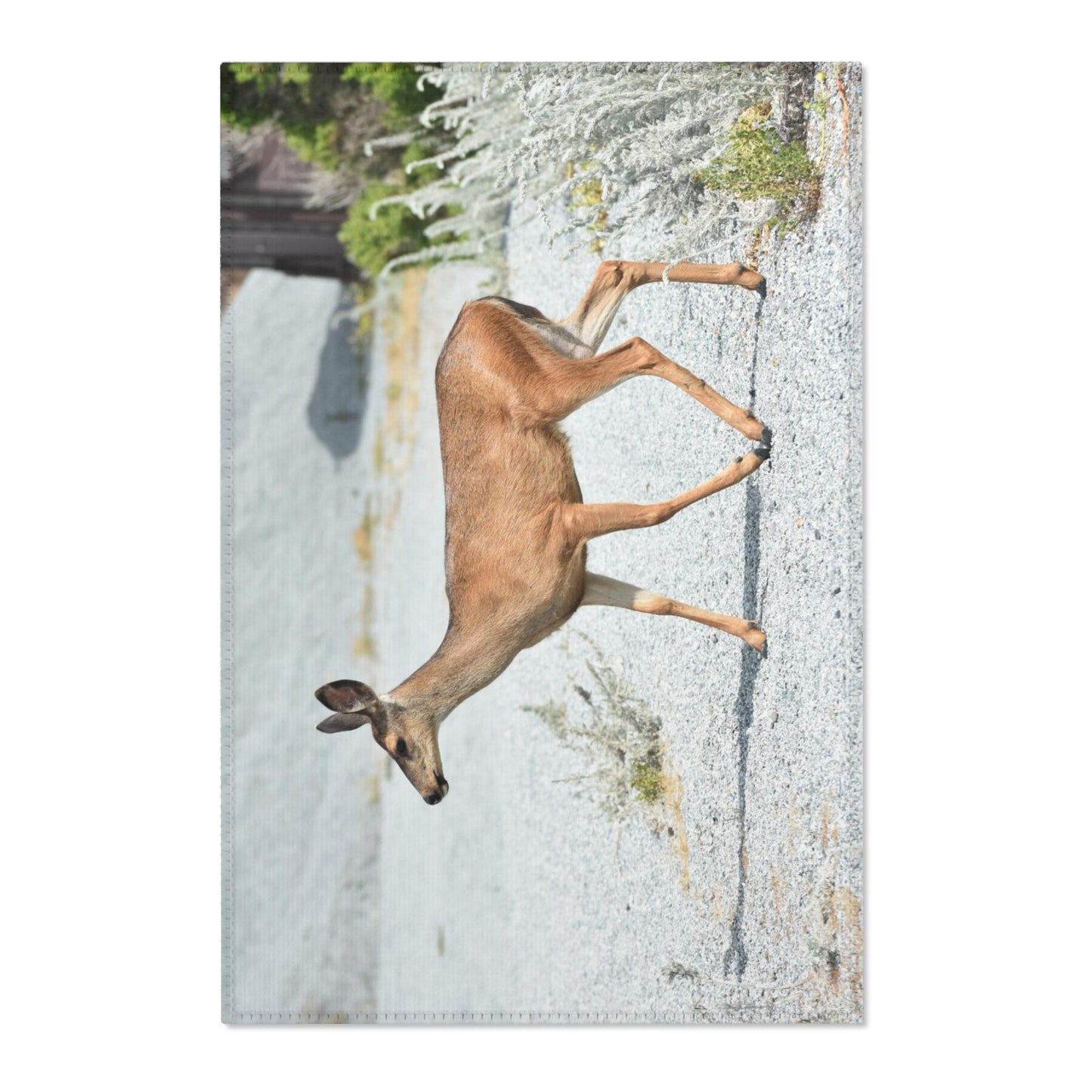 Mule Deer Area Rugs