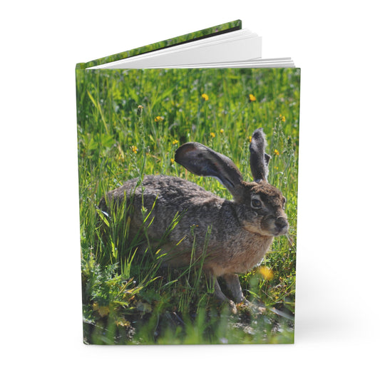 Black-tailed Jackrabbit Hardcover Journal Matte
