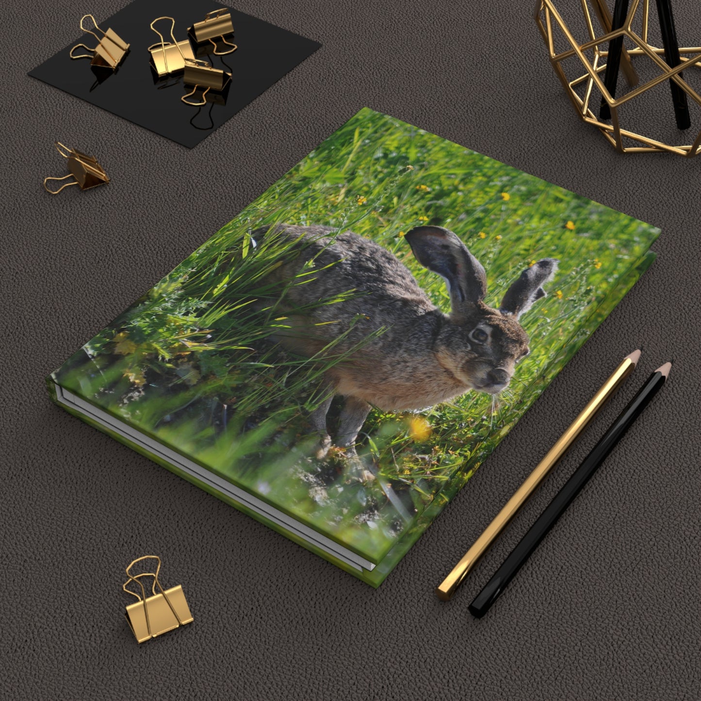 Black-tailed Jackrabbit Hardcover Journal Matte