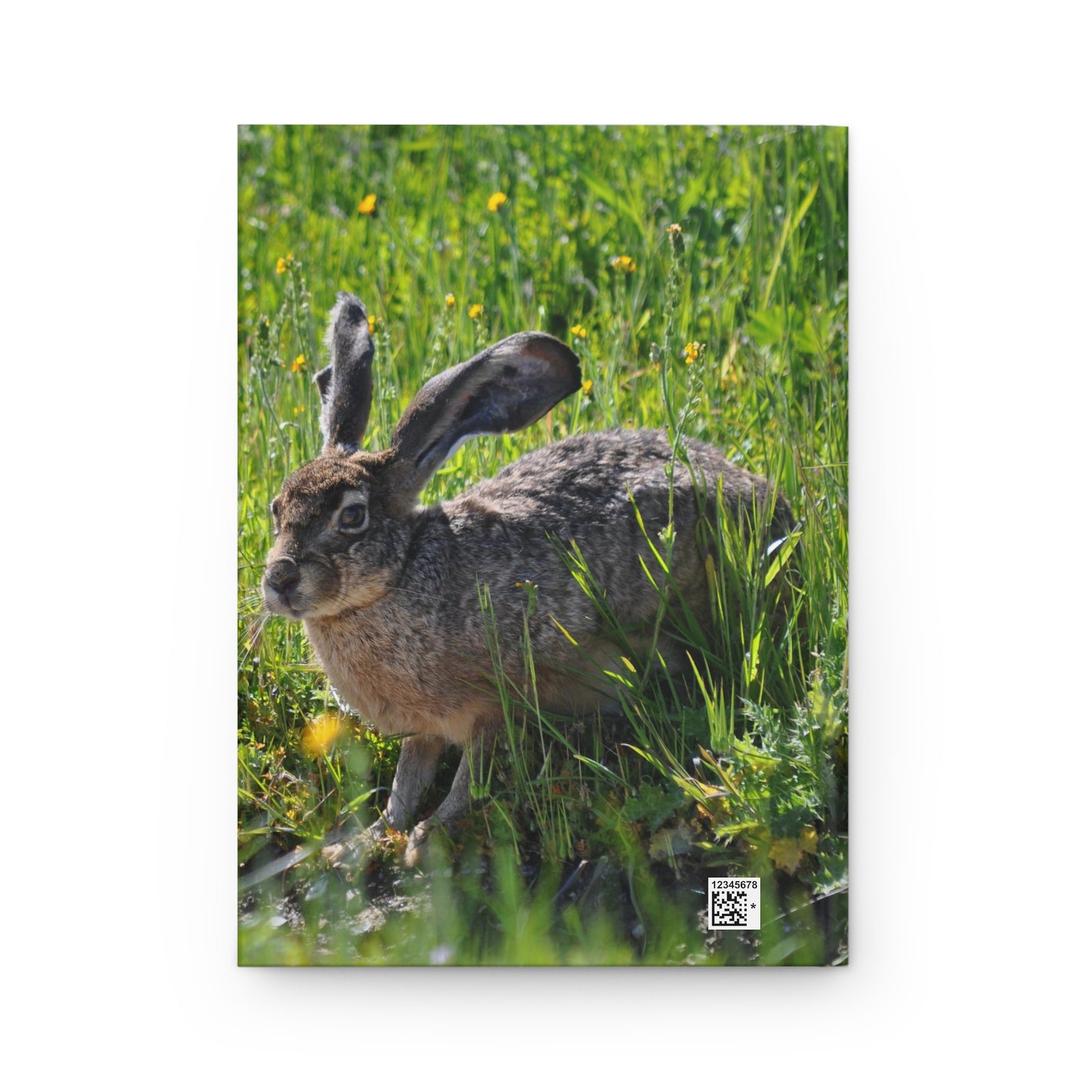 Black-tailed Jackrabbit Hardcover Journal Matte