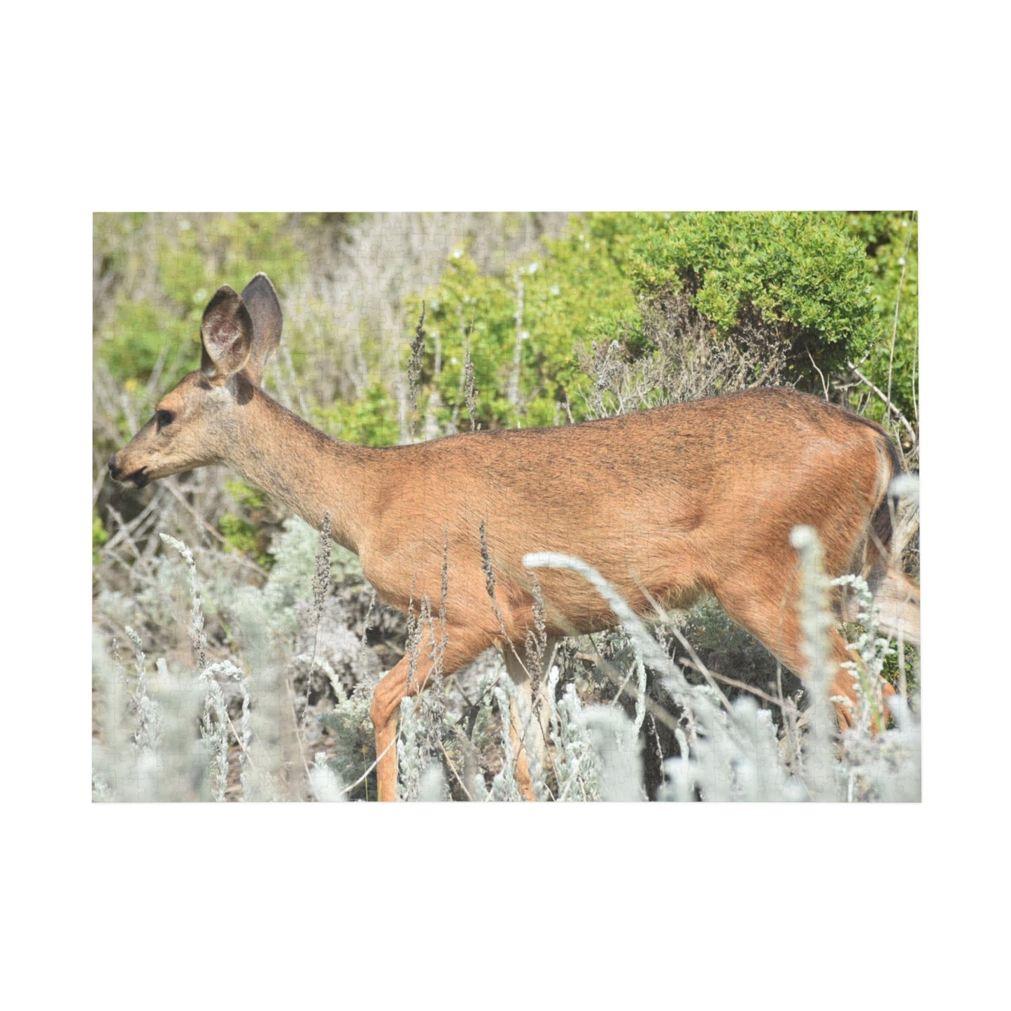 1000-Piece Mule Deer in Shrubbery Puzzle