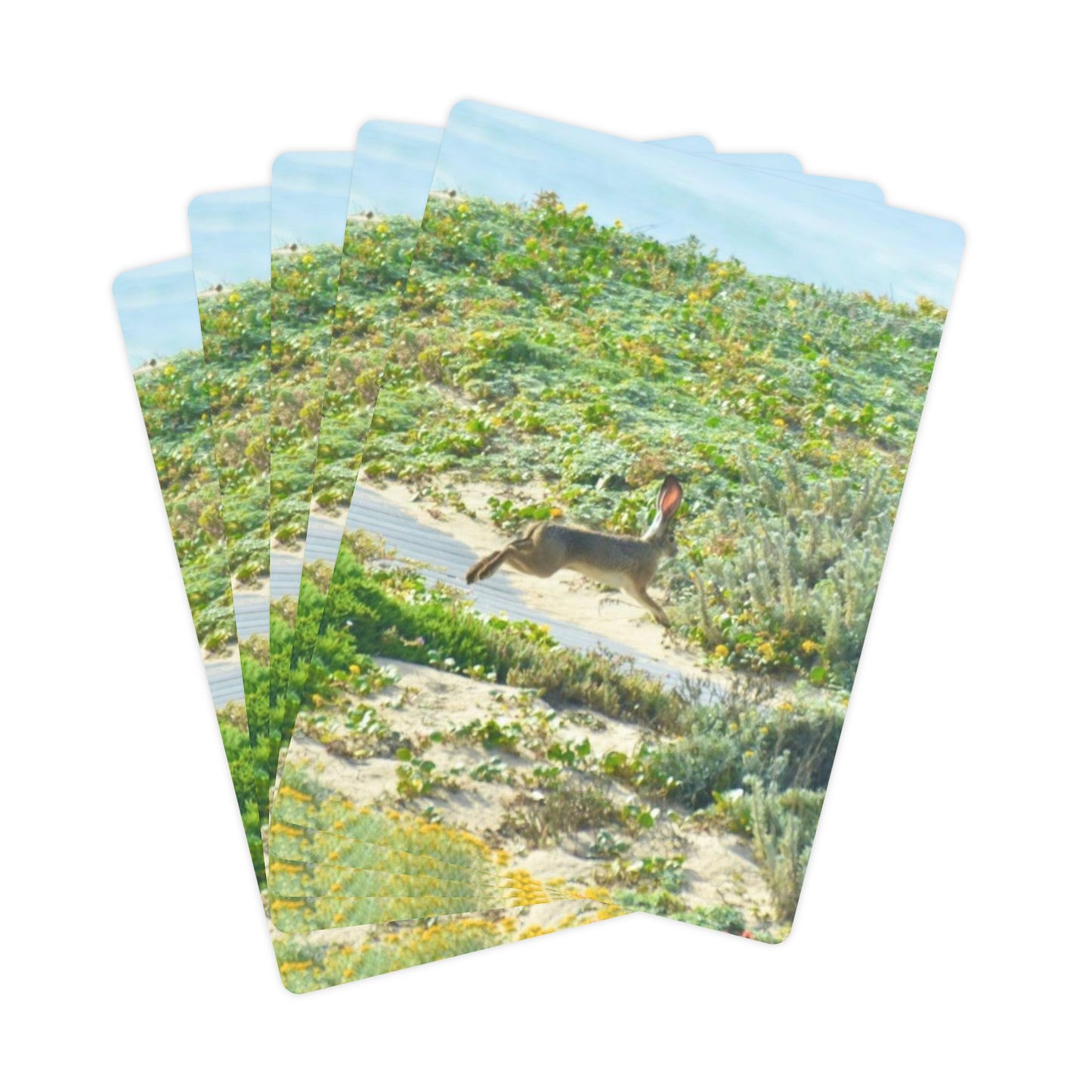 Poker Cards