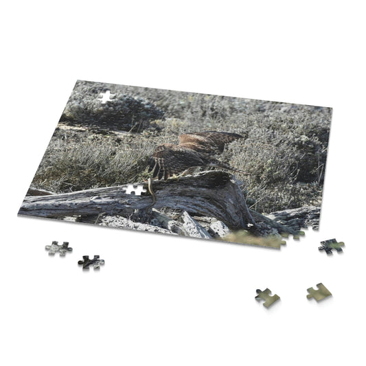 Red-Tailed Hawk Puzzle  (252-Piece)