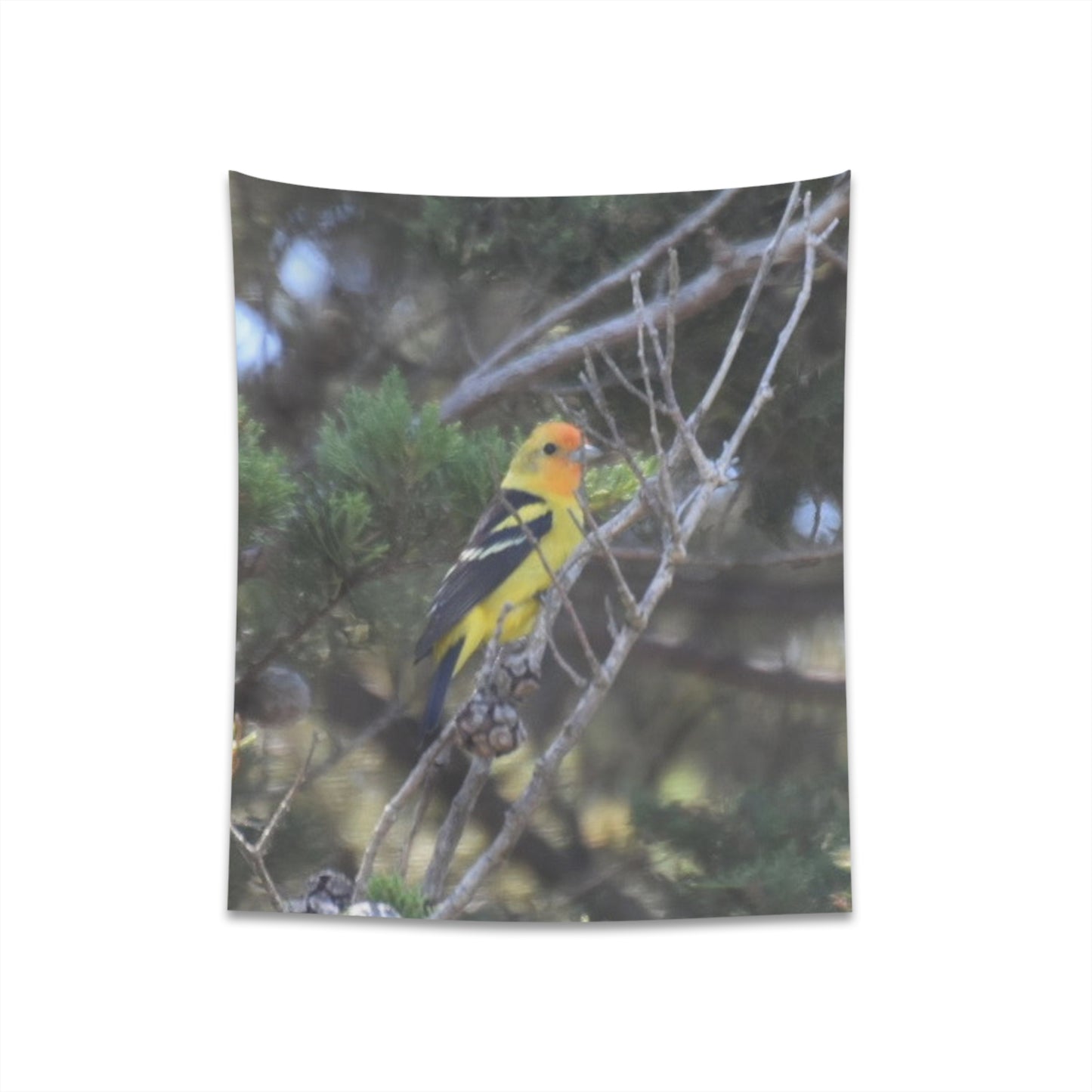 Western Tanager Wall Tapestry