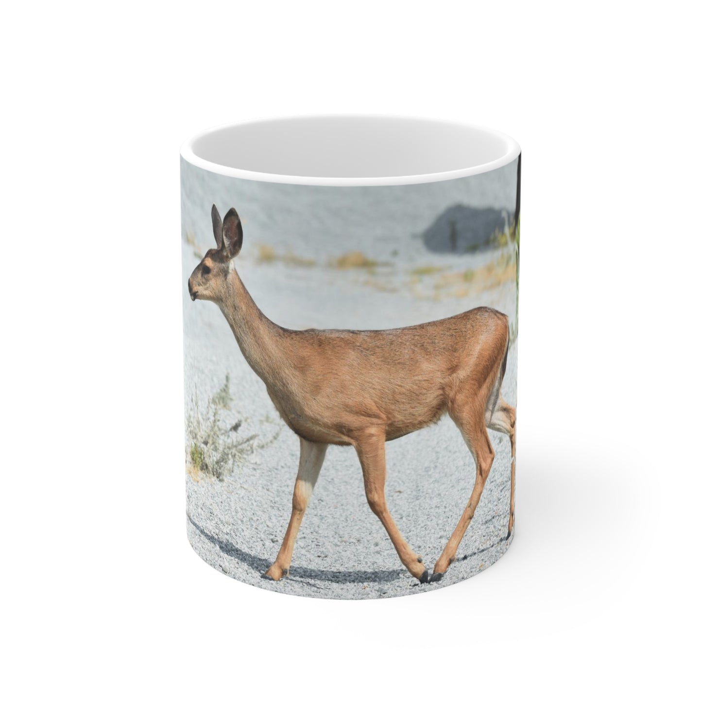 Mule Deer Ceramic Mug 11oz