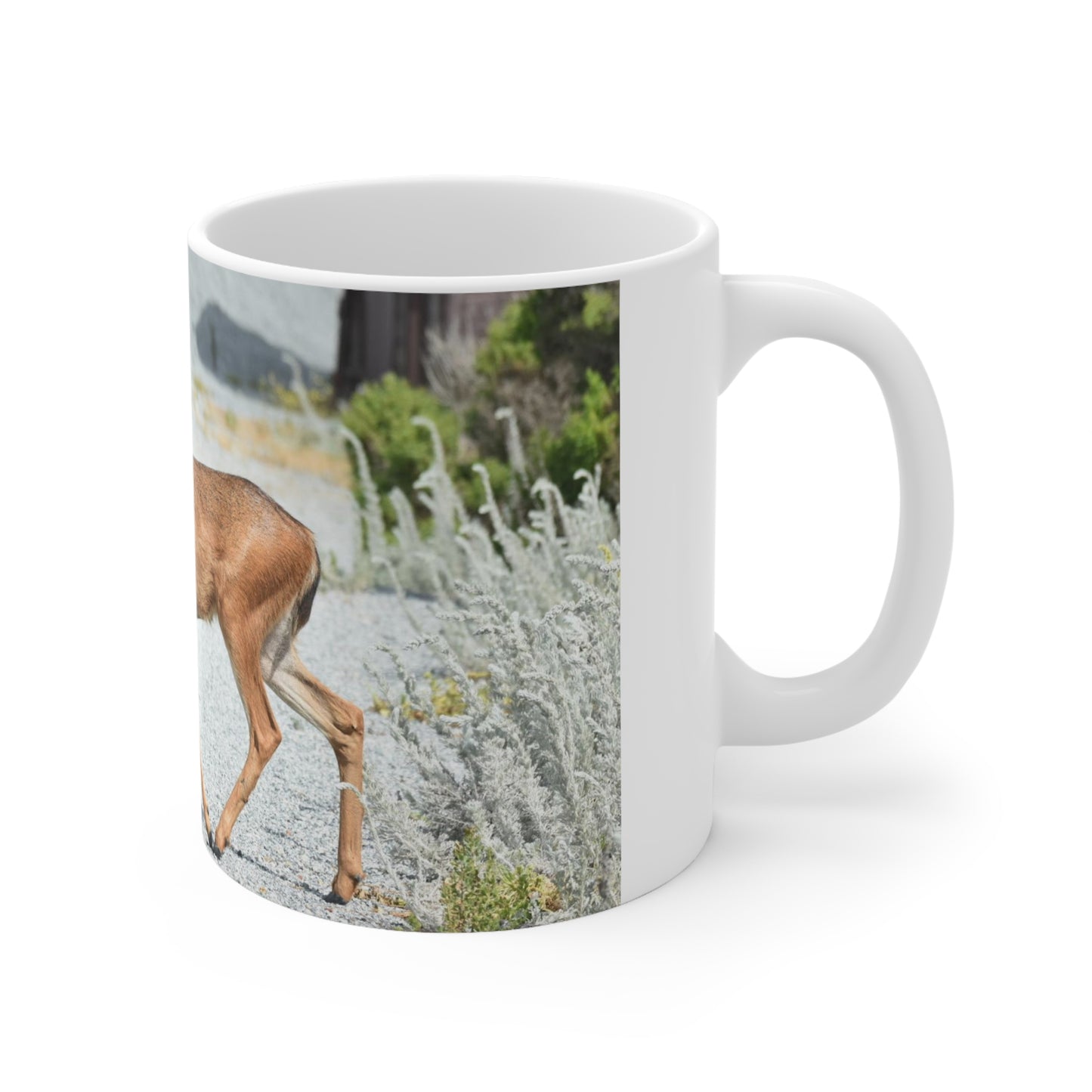 Mule Deer Ceramic Mug 11oz