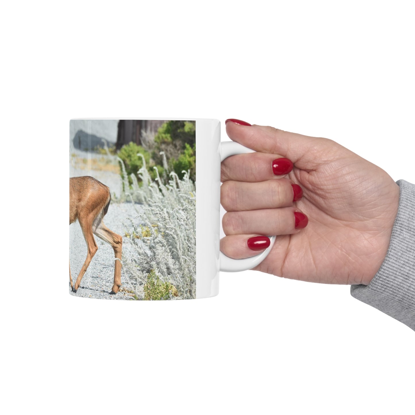 Mule Deer Ceramic Mug 11oz